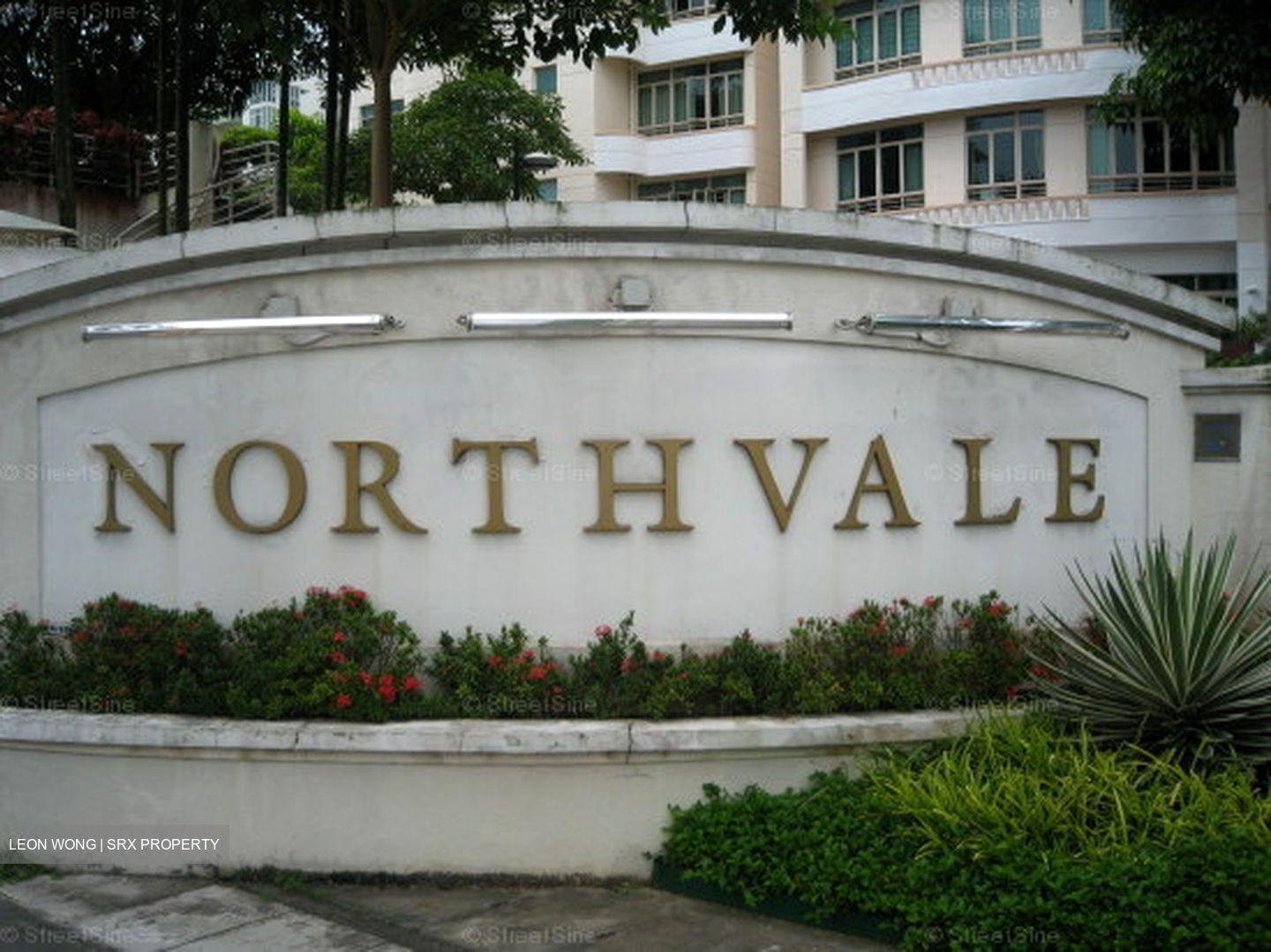 Northvale (D23), Apartment #556416401